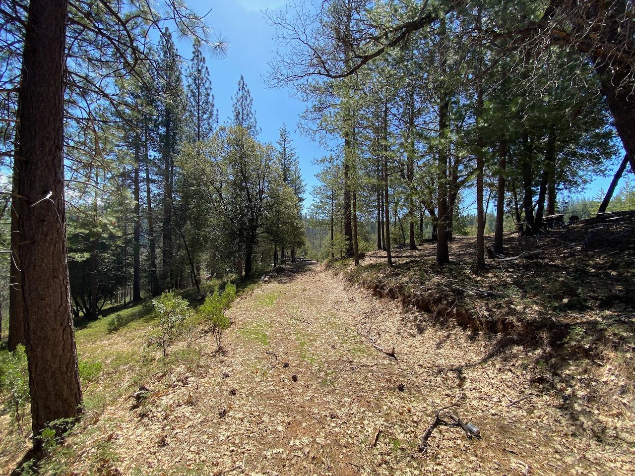 Moore Road, Rail Road Flat, California image 12