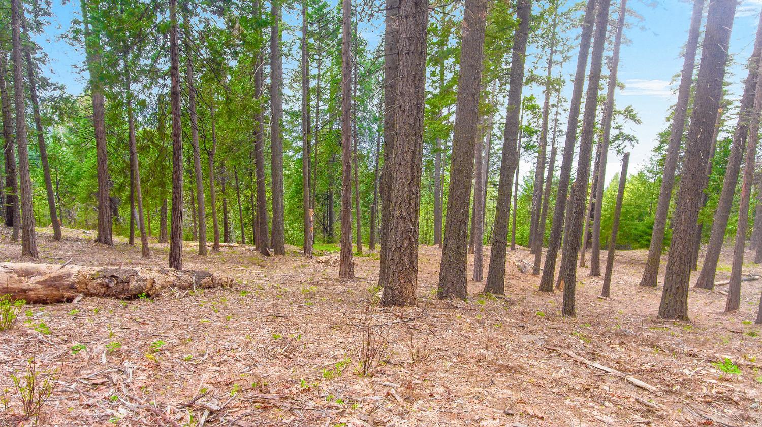 Detail Gallery Image 4 of 12 For 3 .75 Acres Bullion Bend Rd, Pollock Pines,  CA 95726 - – Beds | – Baths