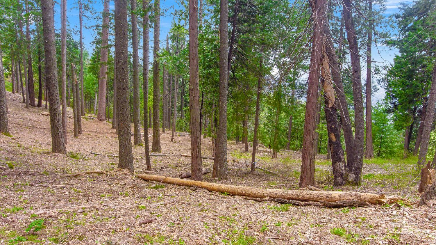 Detail Gallery Image 2 of 12 For 3 .75 Acres Bullion Bend Rd, Pollock Pines,  CA 95726 - – Beds | – Baths