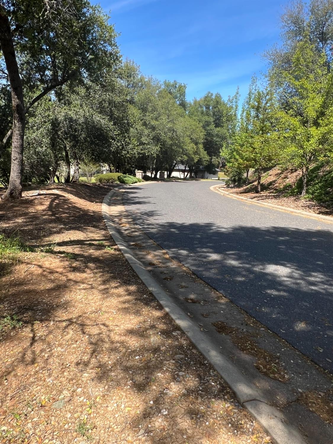 Mill Road, Angels Camp, California image 7