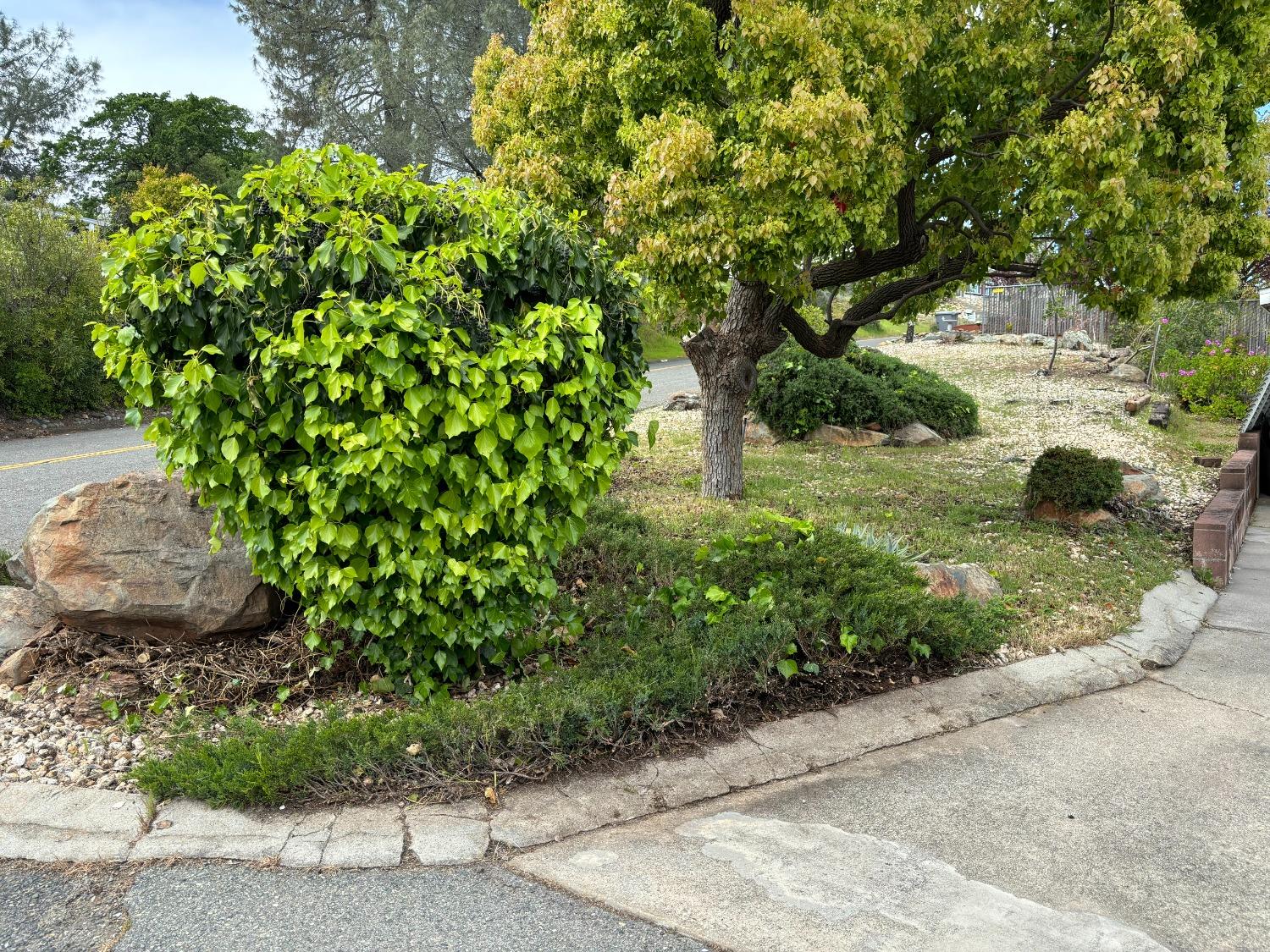 Detail Gallery Image 50 of 59 For 81 Apache Cir, Oroville,  CA 95966 - 2 Beds | 2 Baths