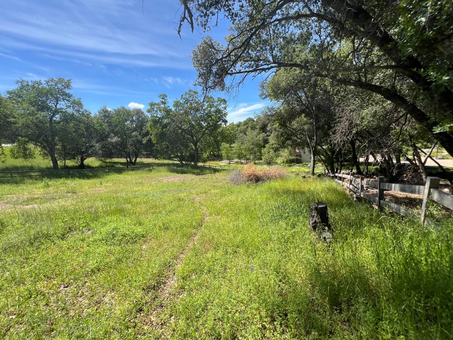 Mill Road, Angels Camp, California image 5