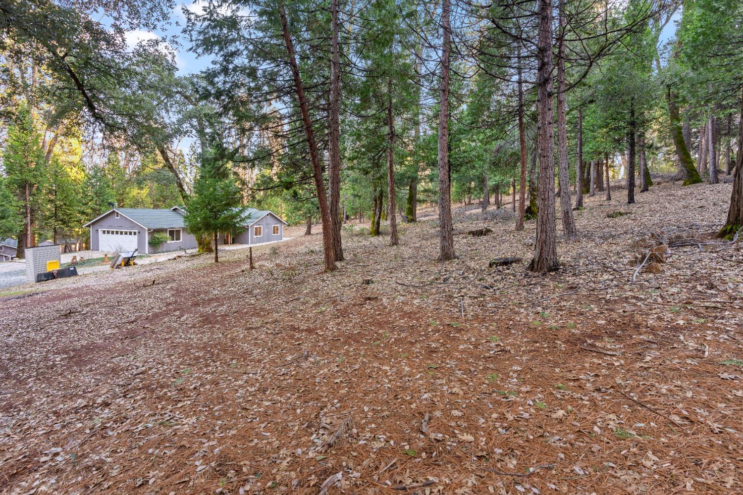 Detail Gallery Image 42 of 71 For 13644 Edgewood Dr, Grass Valley,  CA 95945 - 3 Beds | 2 Baths