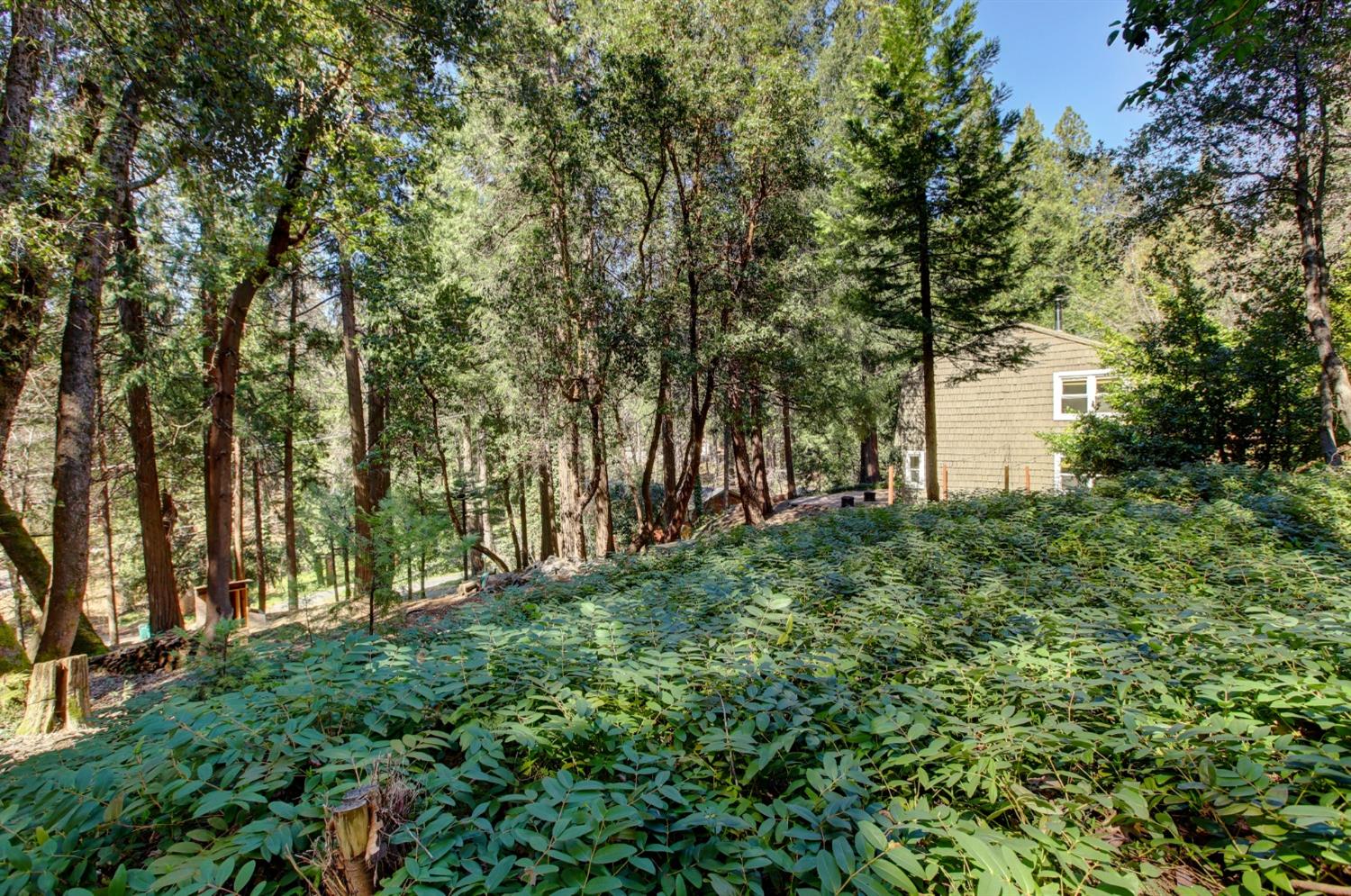 Detail Gallery Image 42 of 48 For 12329 Echo Dr, Nevada City,  CA 95959 - 3 Beds | 2 Baths