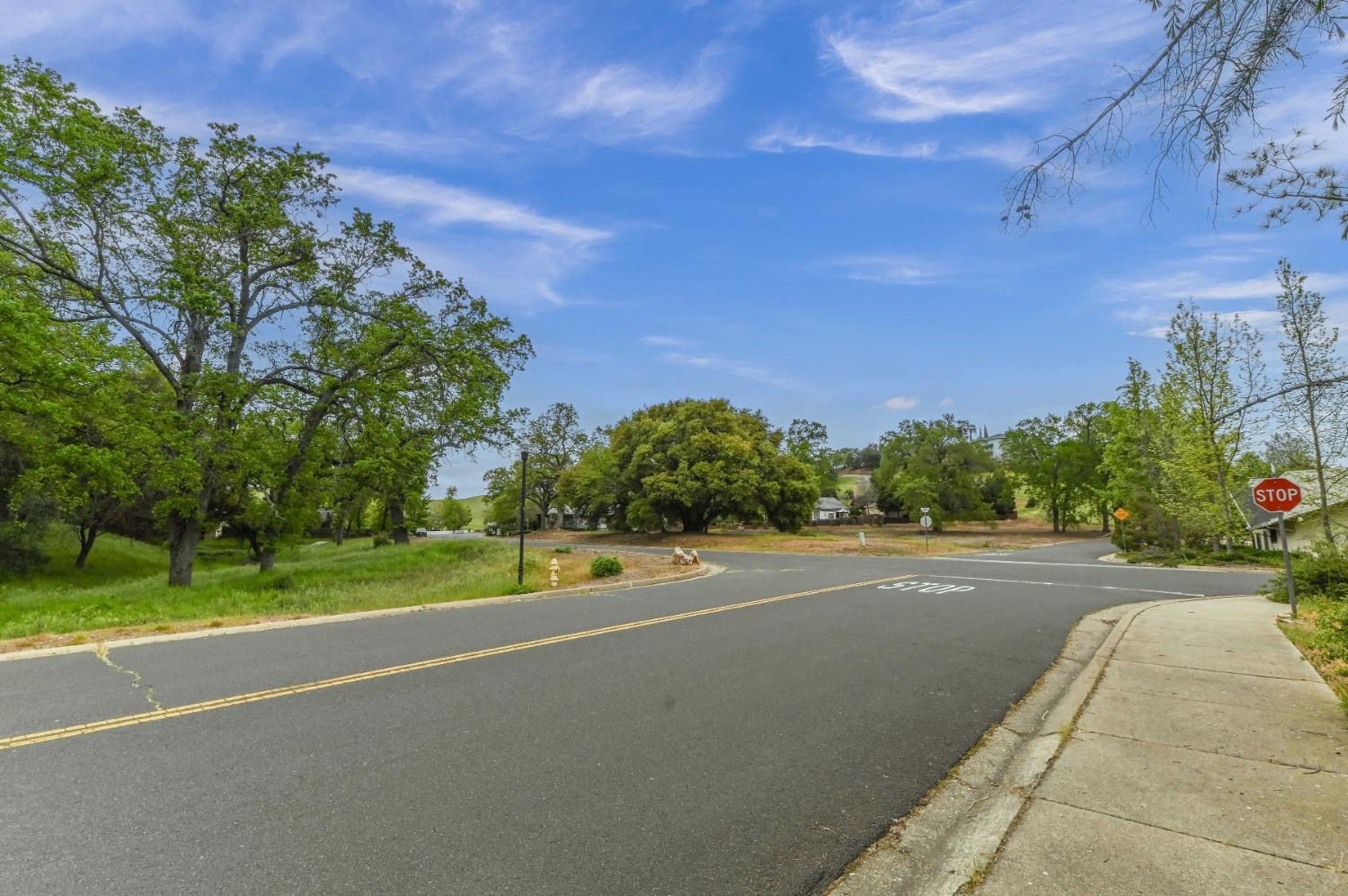 Suzanne Drive, Angels Camp, California image 5