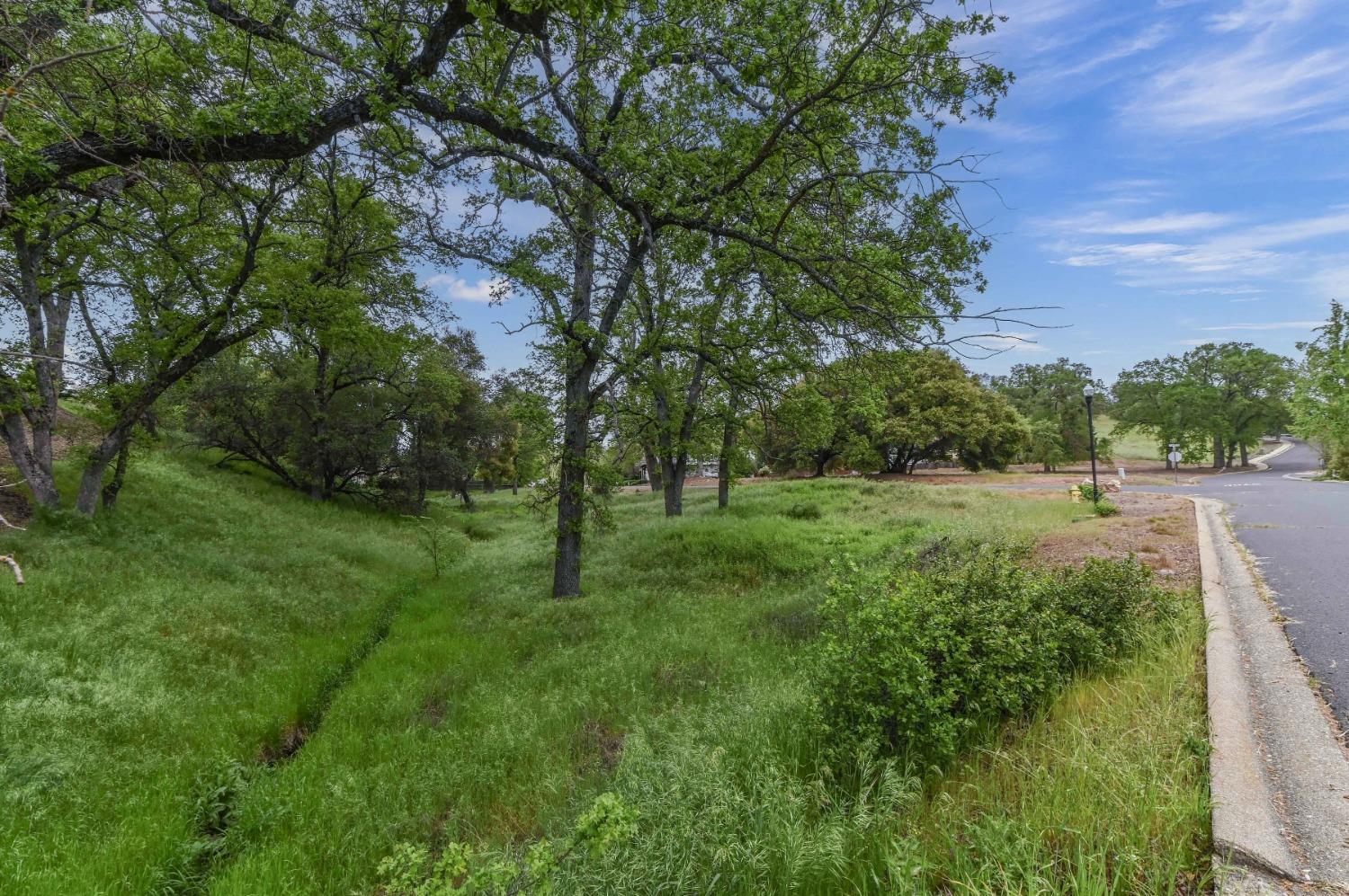 Suzanne Drive, Angels Camp, California image 7