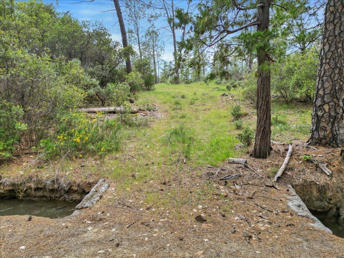 Detail Gallery Image 26 of 29 For 12696 Newtown Rd, Nevada City,  CA 95959 - 4 Beds | 2/1 Baths