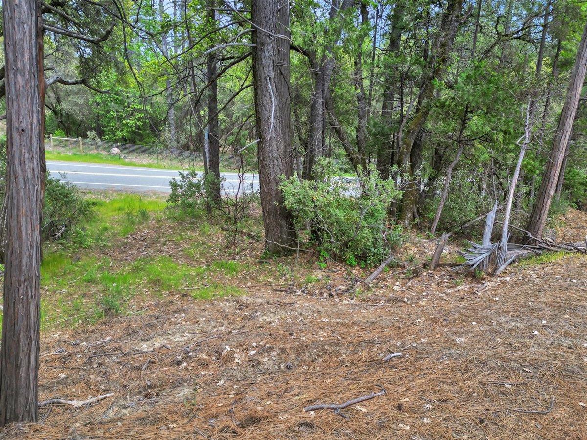 Detail Gallery Image 25 of 29 For 12696 Newtown Rd, Nevada City,  CA 95959 - 4 Beds | 2/1 Baths