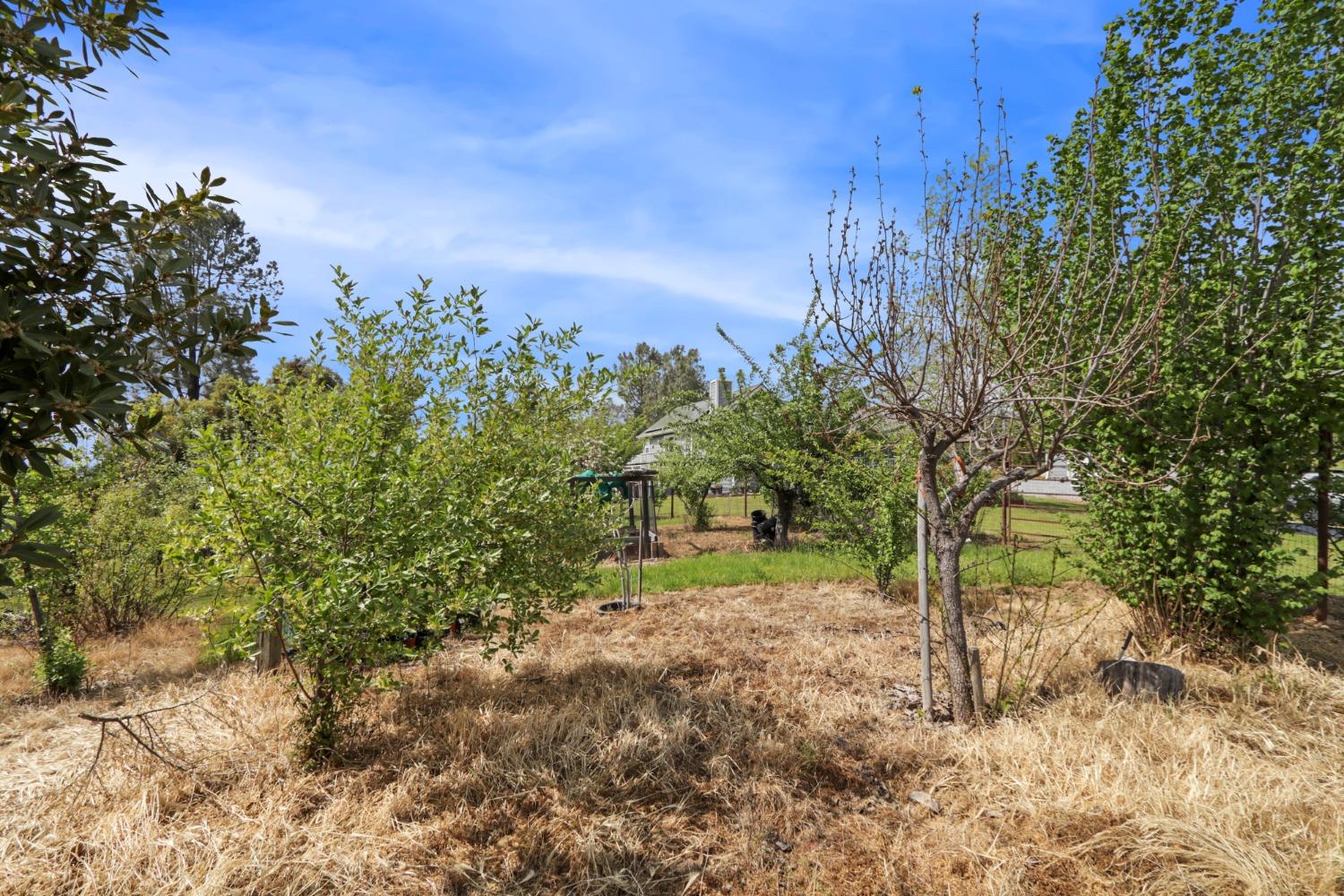 Detail Gallery Image 70 of 87 For 3200 Horseshoe Bend Rd, Somerset,  CA 95684 - 3 Beds | 2 Baths