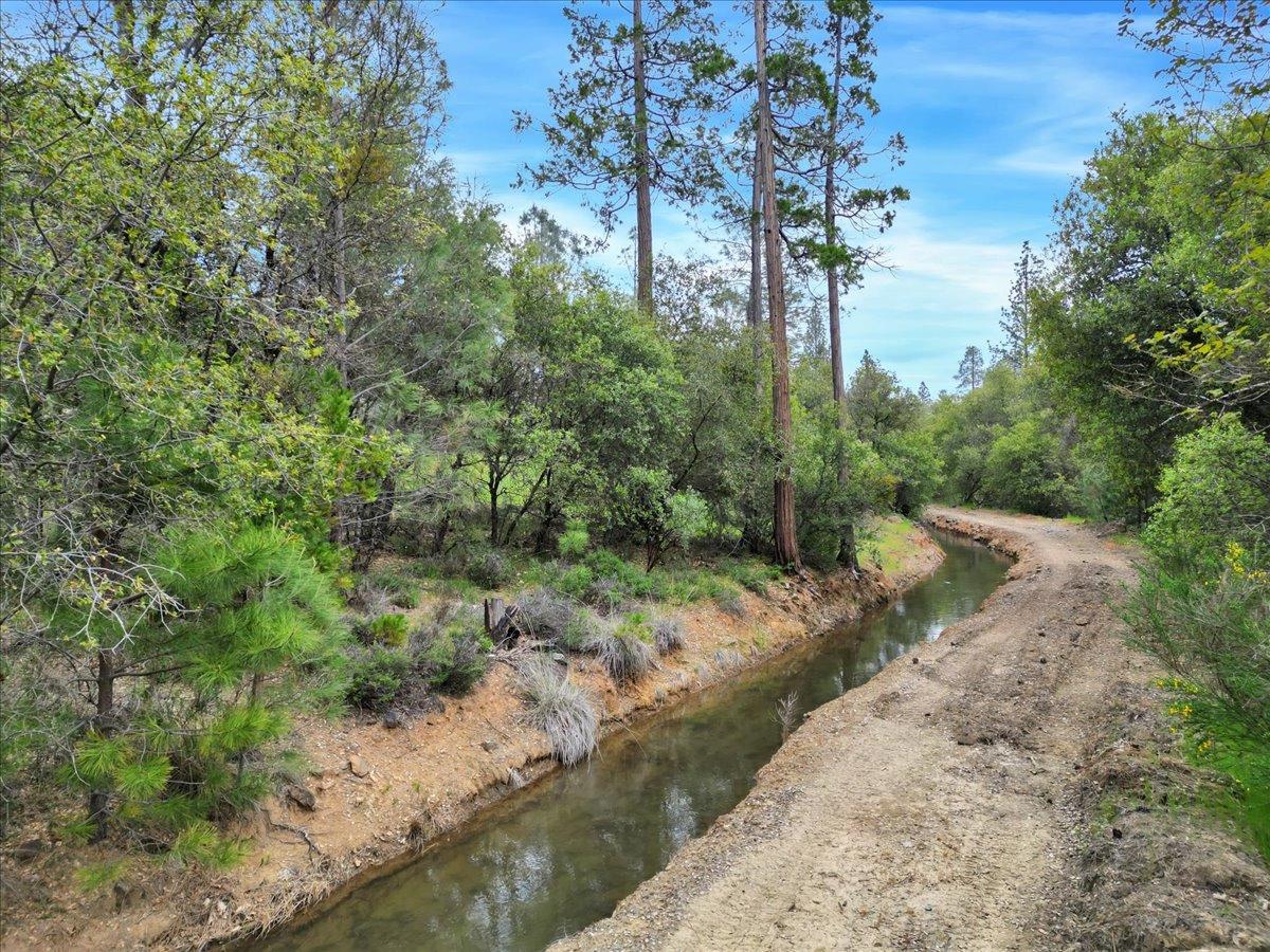 Newtown Road, Nevada City, California image 24