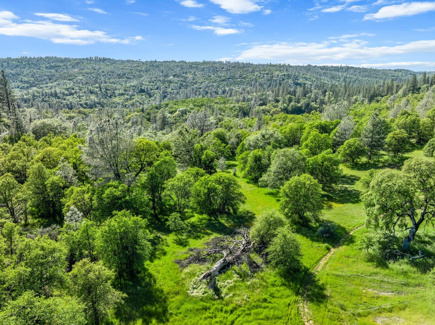 Detail Gallery Image 11 of 16 For 15752 State Highway 49, Grass Valley,  CA 95949 - – Beds | – Baths