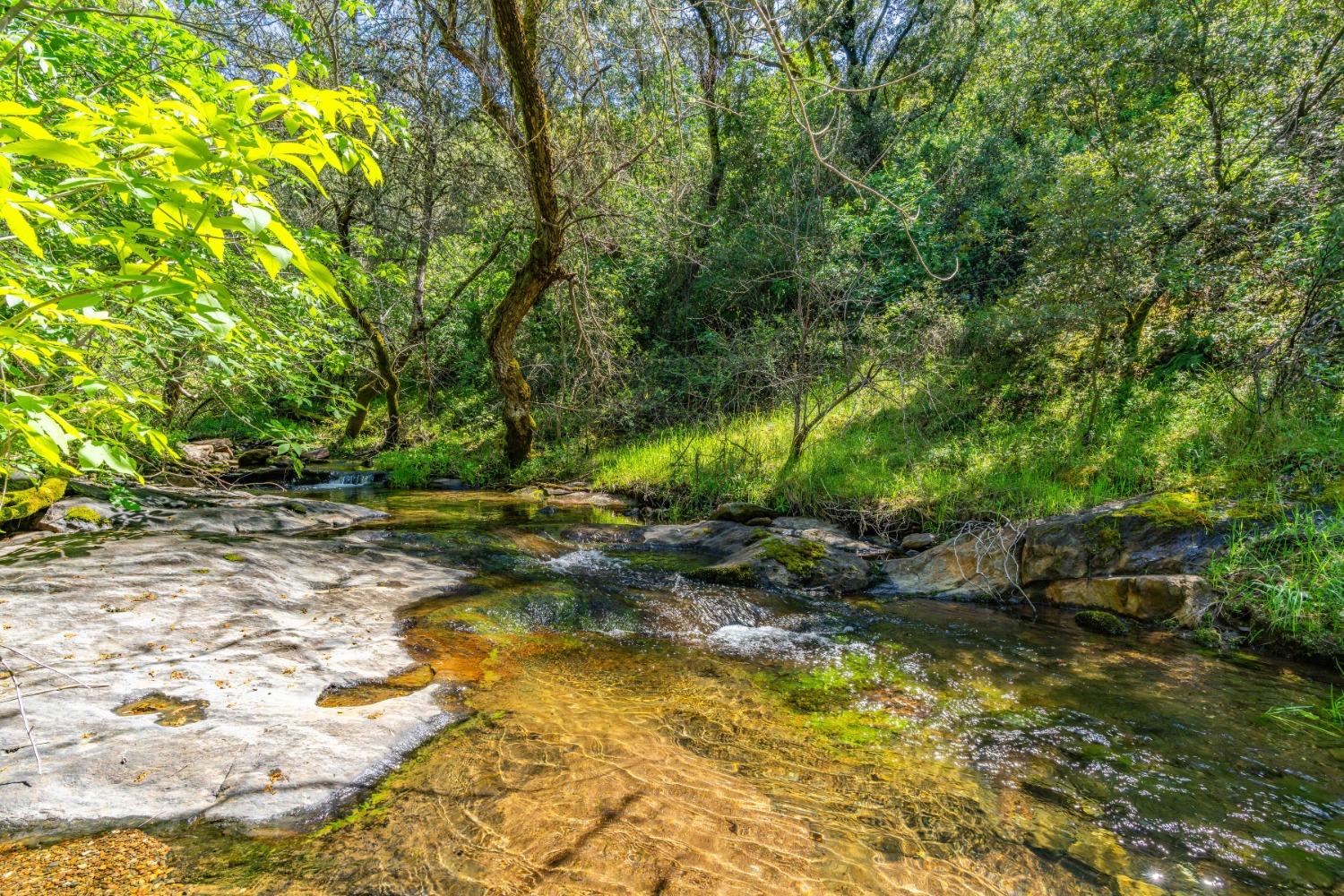 Oneto Road, Sutter Creek, California image 7