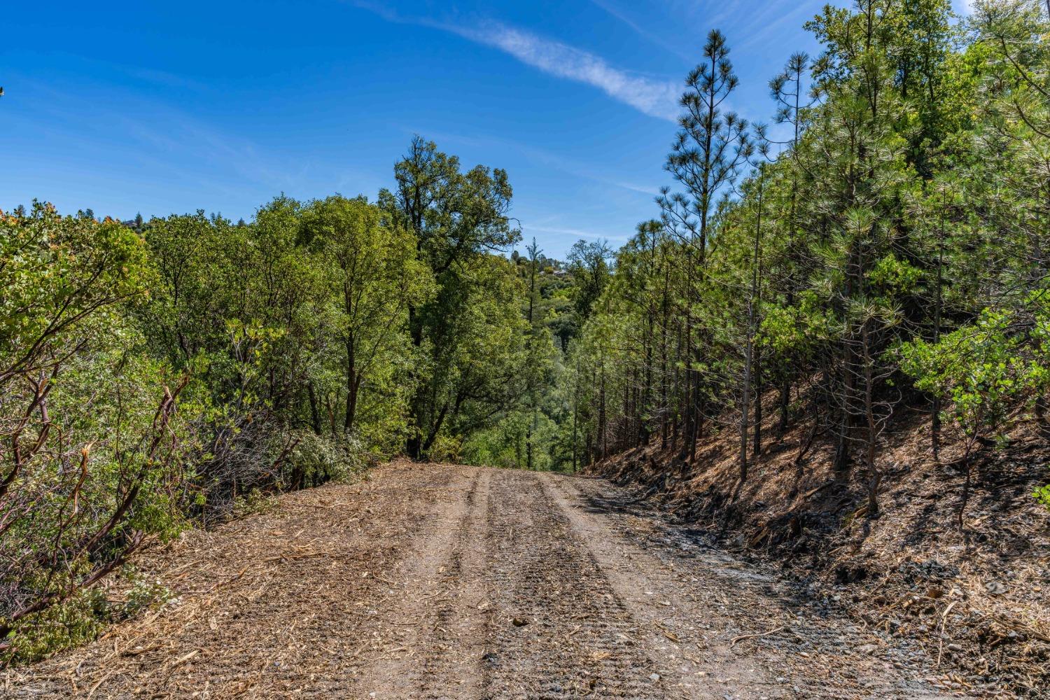 Oneto Road, Sutter Creek, California image 17