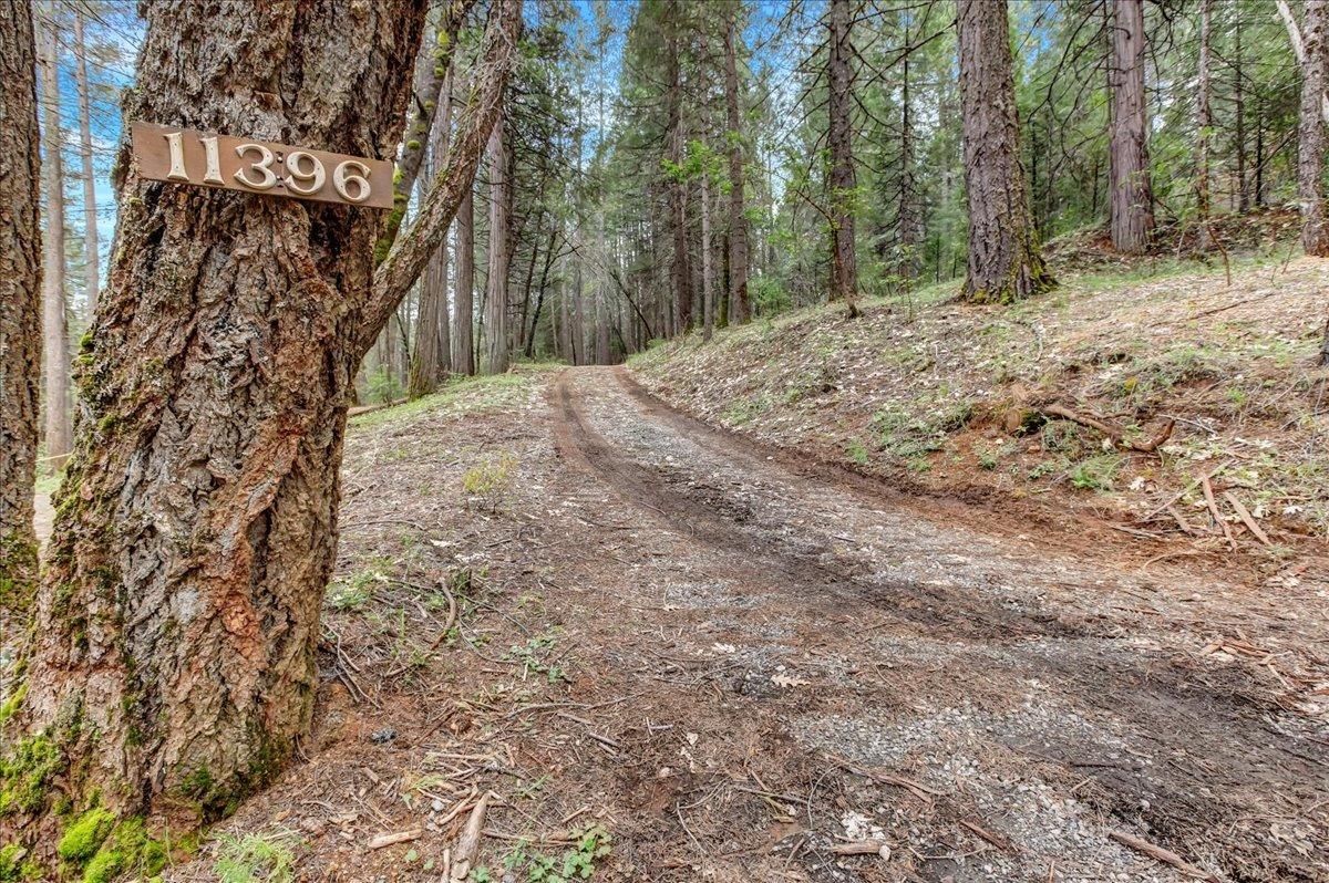 Detail Gallery Image 65 of 67 For 11396 Scotts Flat Dam Rd., Nevada City,  CA 95959 - 3 Beds | 2 Baths