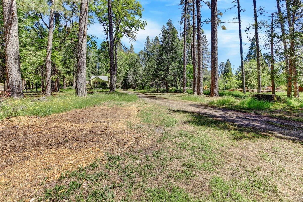 Detail Gallery Image 55 of 71 For 10976 Rough and Ready Hwy, Grass Valley,  CA 95945 - 3 Beds | 1/1 Baths