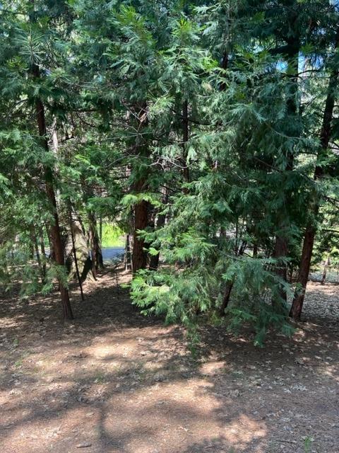 Sierra Springs Drive, Pollock Pines, California image 41