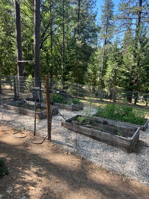 Sierra Springs Drive, Pollock Pines, California image 44
