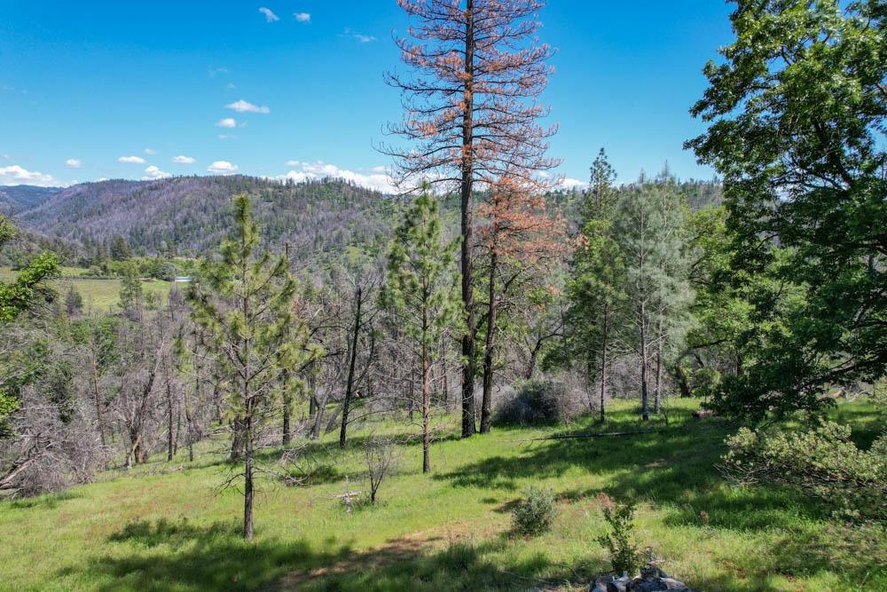 Detail Gallery Image 37 of 38 For 2485 Tolowa Trail, Placerville,  CA 95667 - 2 Beds | 1 Baths