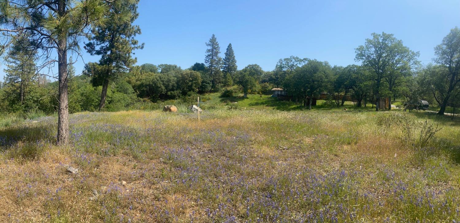 Detail Gallery Image 6 of 24 For 10742 Cedarsong Rd, Nevada City,  CA 95959 - 2 Beds | 1/1 Baths