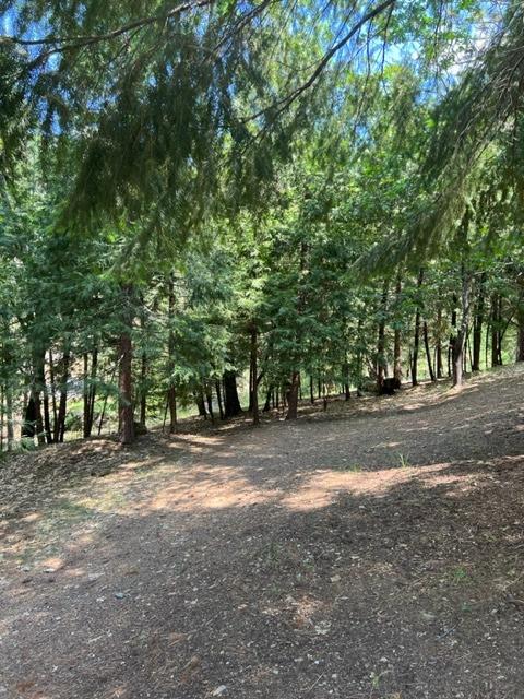 Sierra Springs Drive, Pollock Pines, California image 43