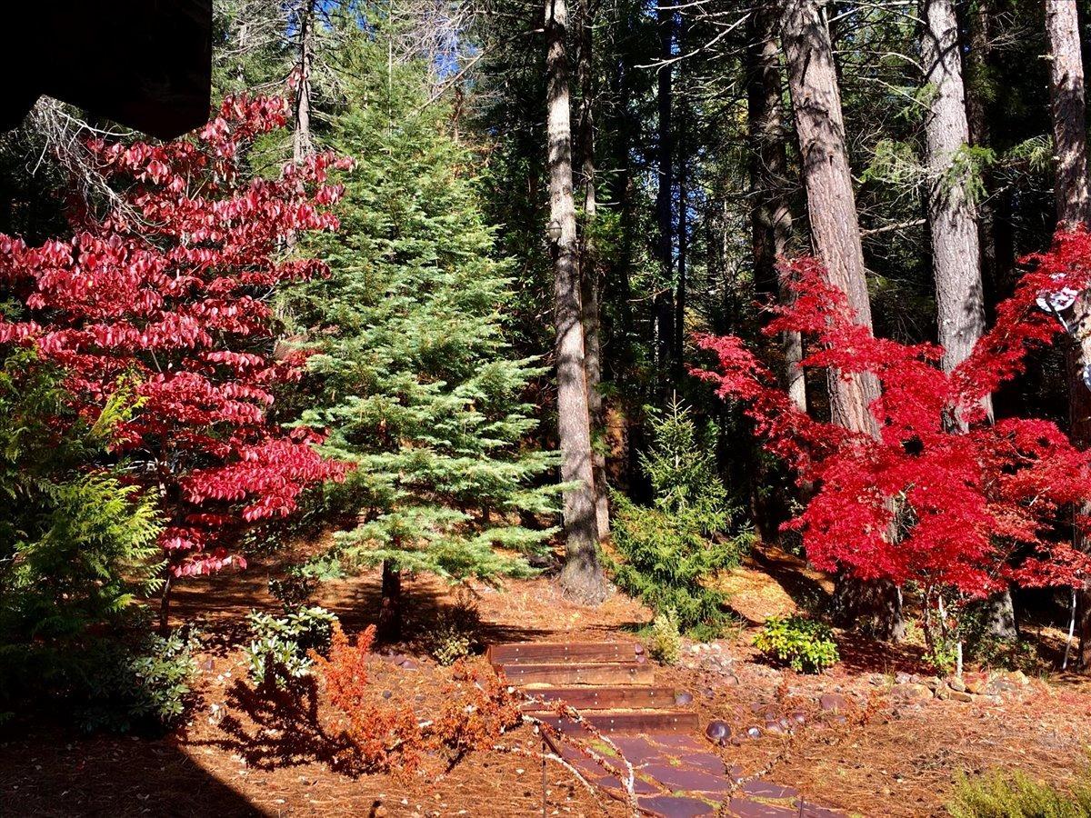 Detail Gallery Image 2 of 67 For 11396 Scotts Flat Dam Rd., Nevada City,  CA 95959 - 3 Beds | 2 Baths