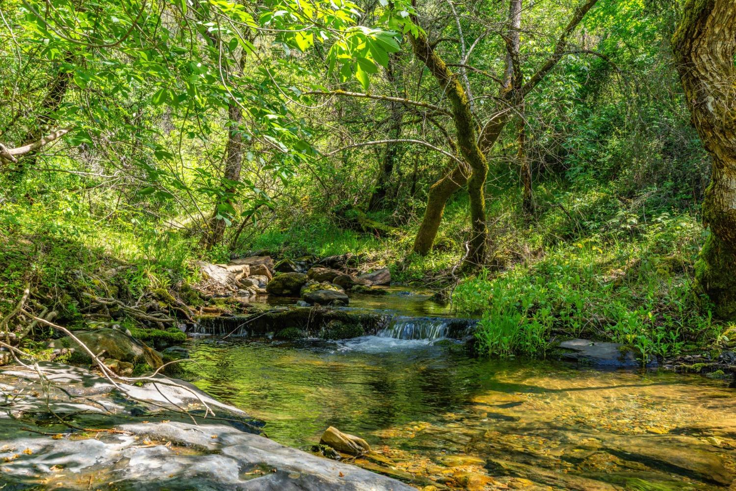 Oneto Road, Sutter Creek, California image 6