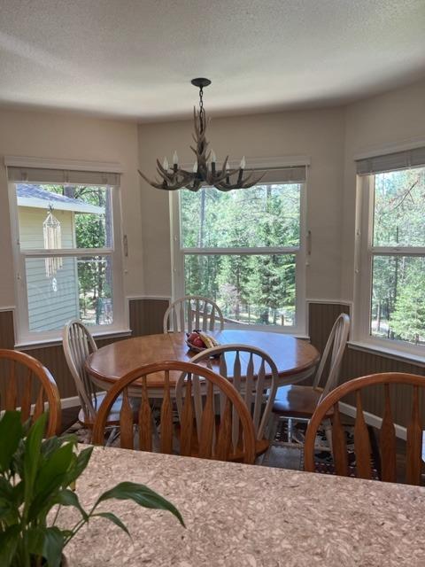 Sierra Springs Drive, Pollock Pines, California image 8