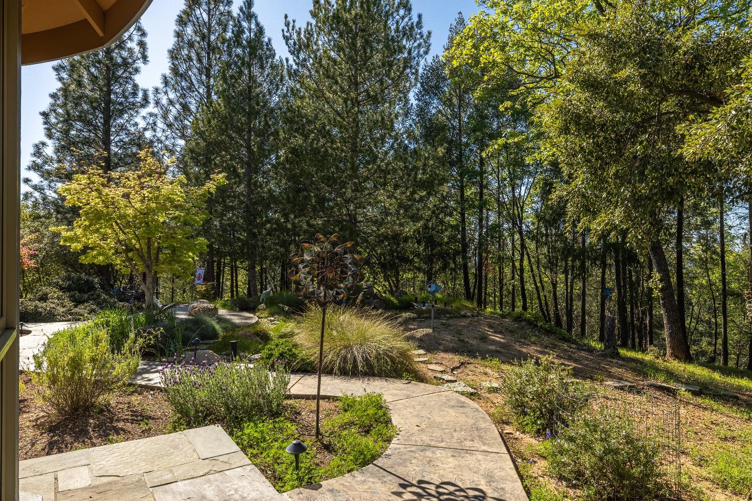 Detail Gallery Image 46 of 57 For 3190 Wasatch Rd, Placerville,  CA 95667 - 3 Beds | 2 Baths