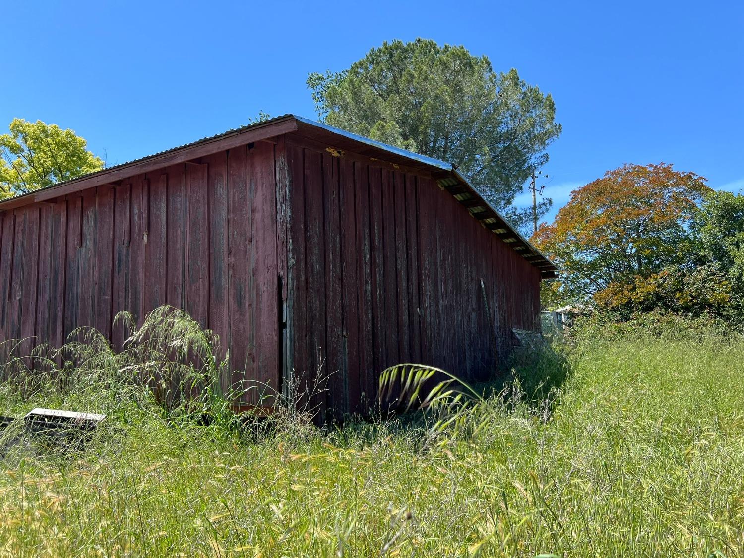 Summit Avenue, Oroville, California image 10