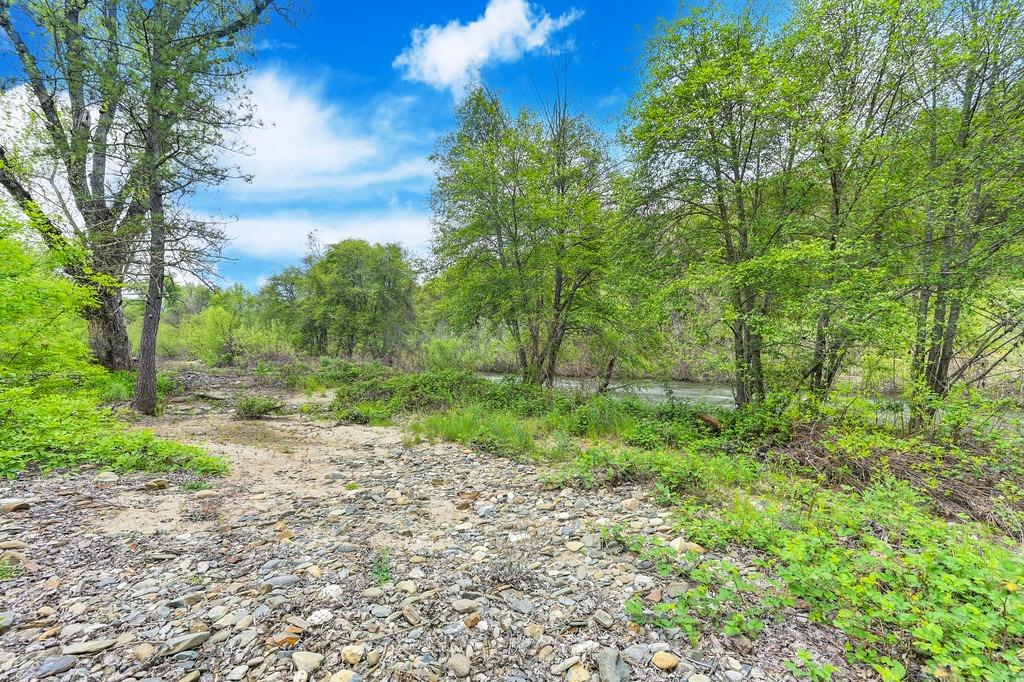 Detail Gallery Image 45 of 80 For 7841 State Highway 49, El Dorado,  CA 95623 - 3 Beds | 2 Baths