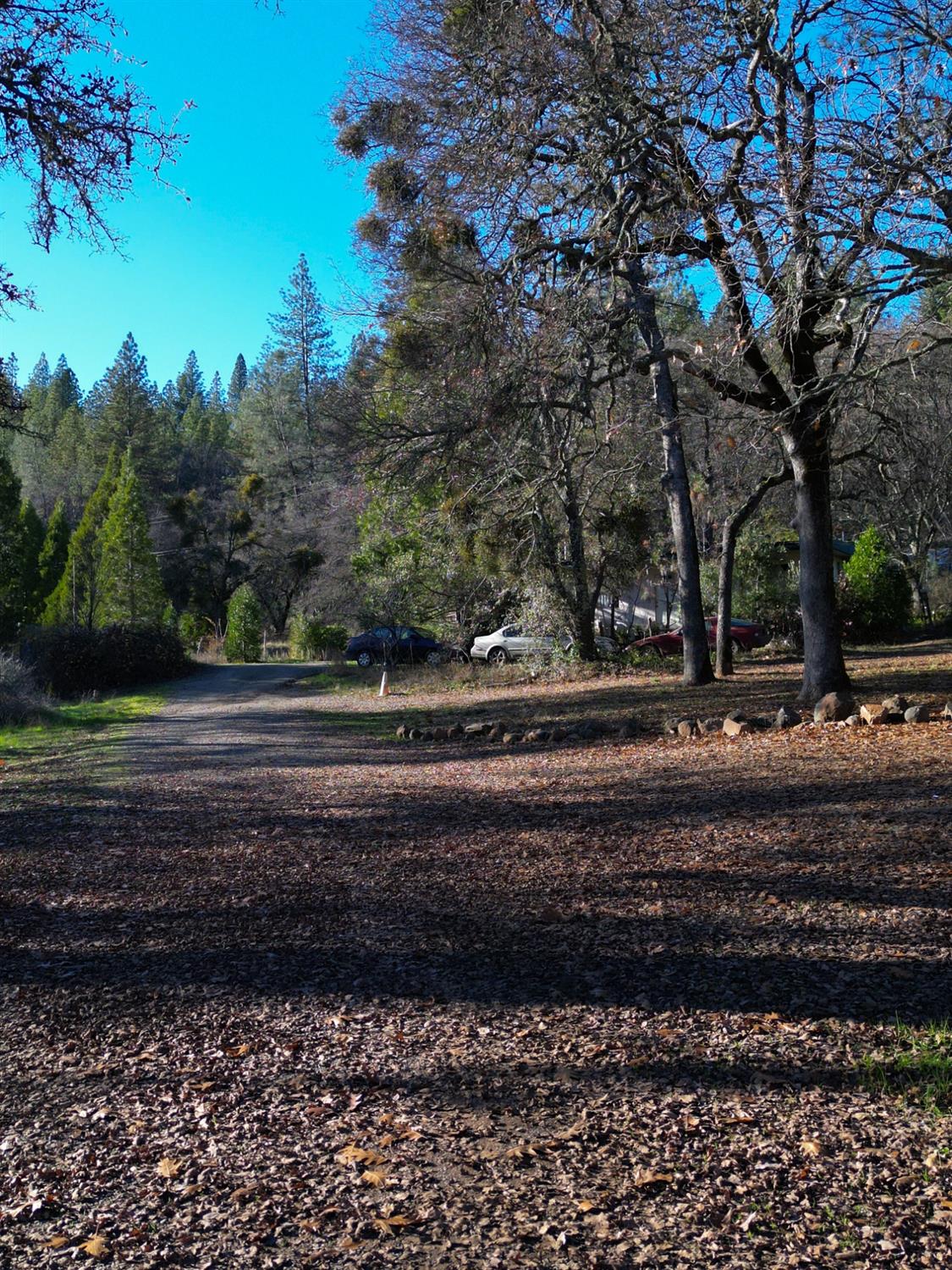 Yuba-nevada Road, Dobbins, California image 36