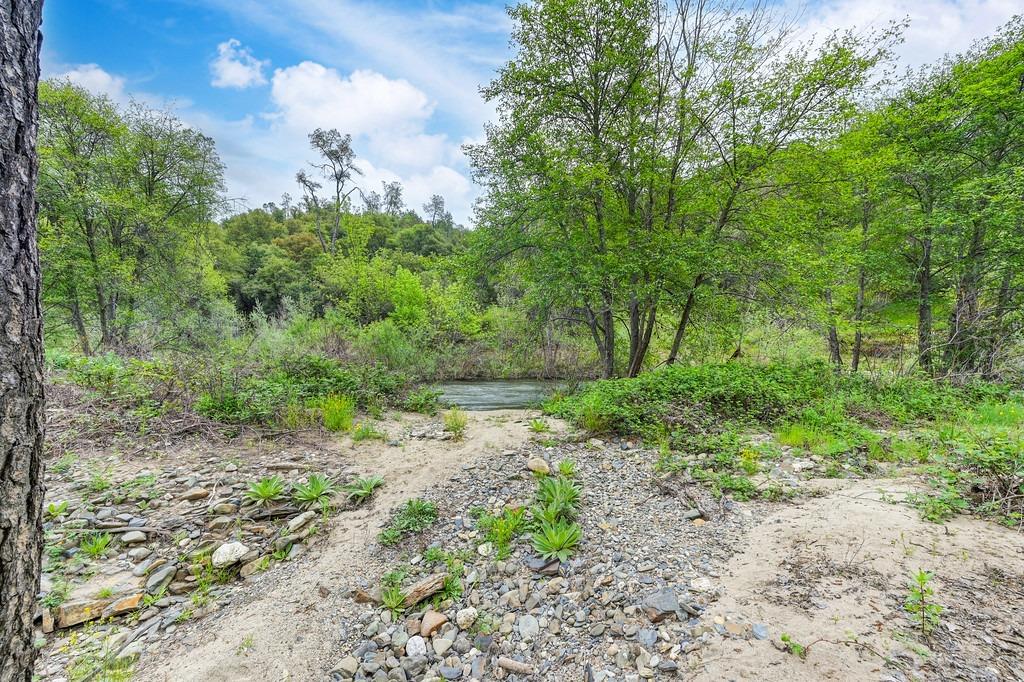 Detail Gallery Image 43 of 80 For 7841 State Highway 49, El Dorado,  CA 95623 - 3 Beds | 2 Baths