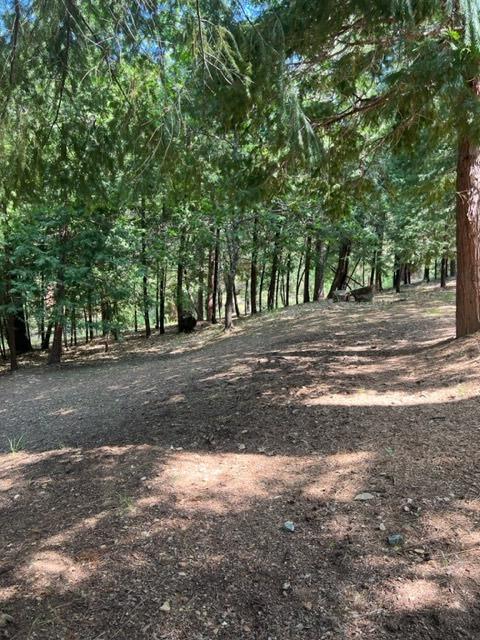 Sierra Springs Drive, Pollock Pines, California image 40