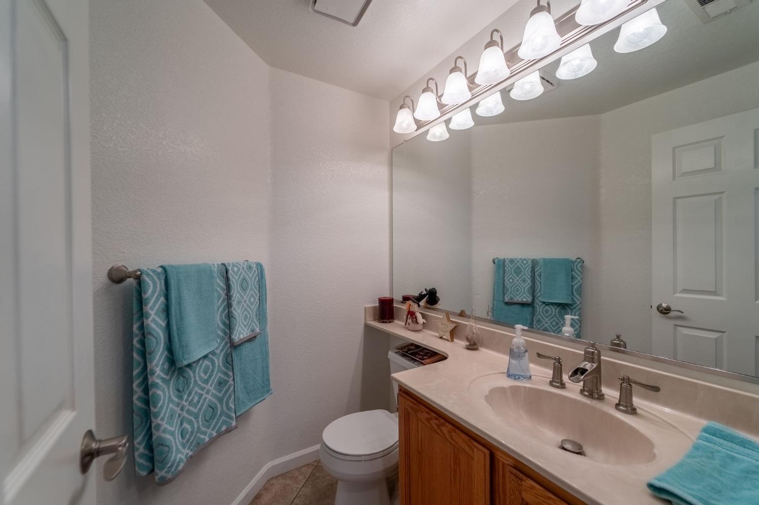 Detail Gallery Image 13 of 32 For 233 Pinto Creek Ct, Oakdale,  CA 95361 - 3 Beds | 2/1 Baths