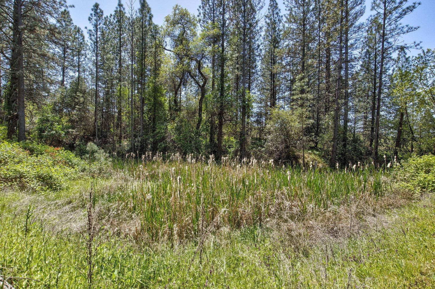 Detail Gallery Image 65 of 98 For 13320 Oakstream Rd, Plymouth,  CA 95669 - 3 Beds | 2/1 Baths