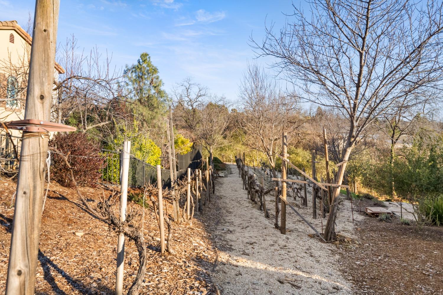 Detail Gallery Image 44 of 57 For 11128 Vista Del Sol, Auburn,  CA 95603 - 4 Beds | 3 Baths