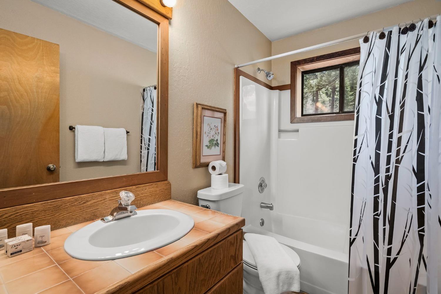 Detail Gallery Image 22 of 41 For 251 Basque Dr, Truckee,  CA 96161 - 3 Beds | 2 Baths