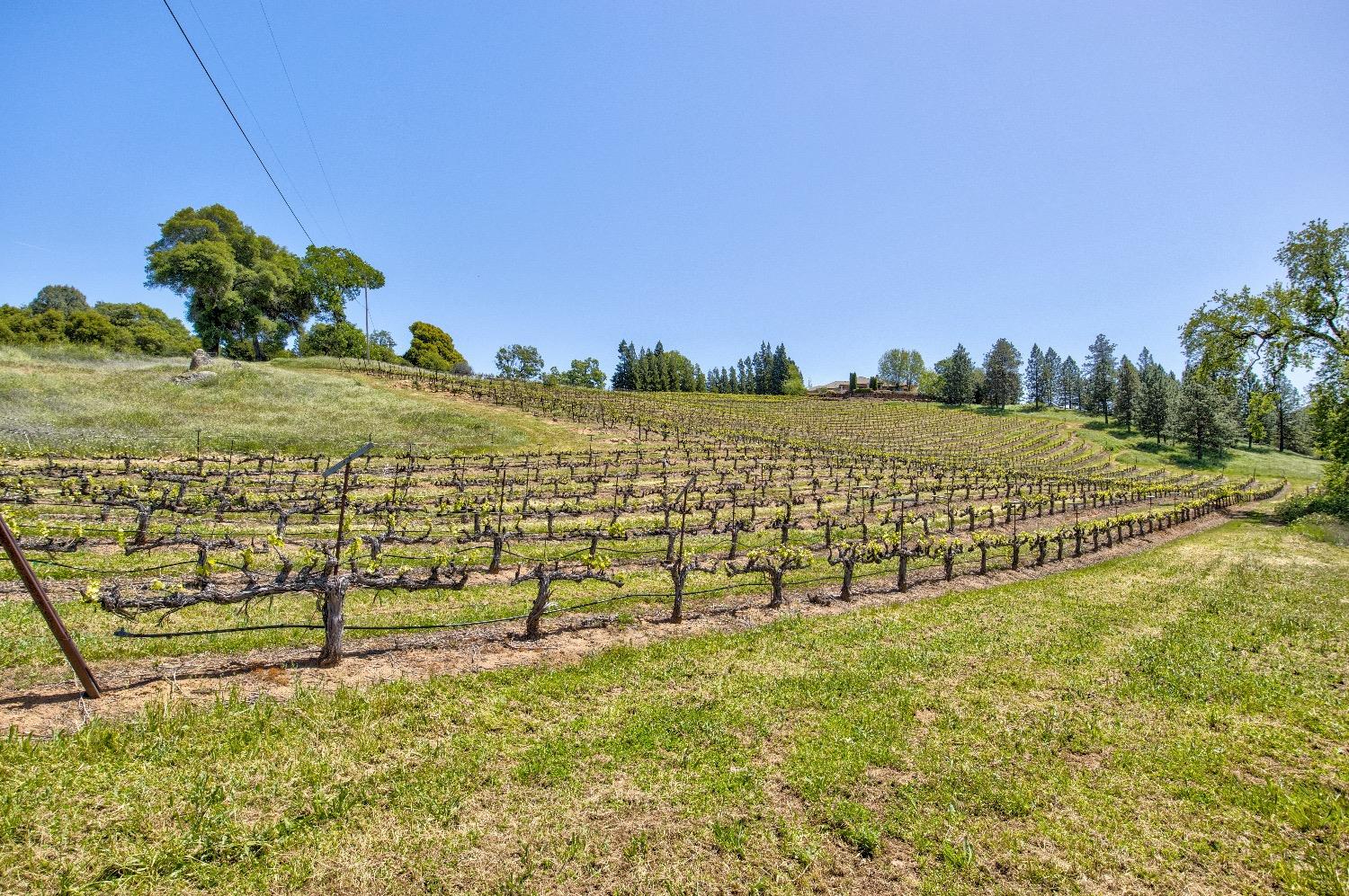 Detail Gallery Image 63 of 98 For 13320 Oakstream Rd, Plymouth,  CA 95669 - 3 Beds | 2/1 Baths