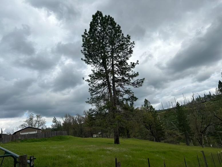 Old Emigrant Trail W, Mountain Ranch, California image 3