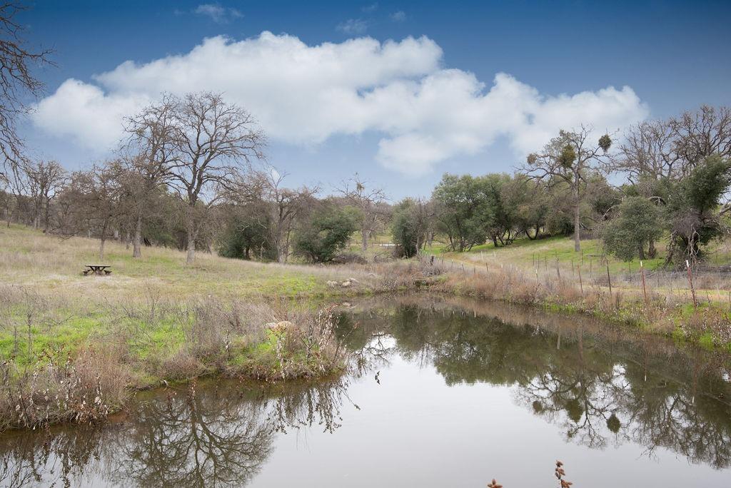 Granite Springs Road, Coulterville, California image 2