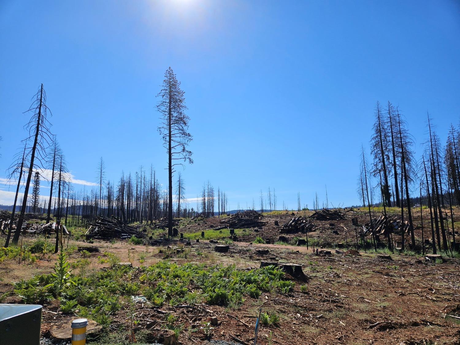 This level lot never had a home on it! Located on a court with utilities at the street. The opportunity is here for a potential investor, contractor, or home builder to be part of the rebuild of the amazing community of Grizzly Flats! Build your home here today!