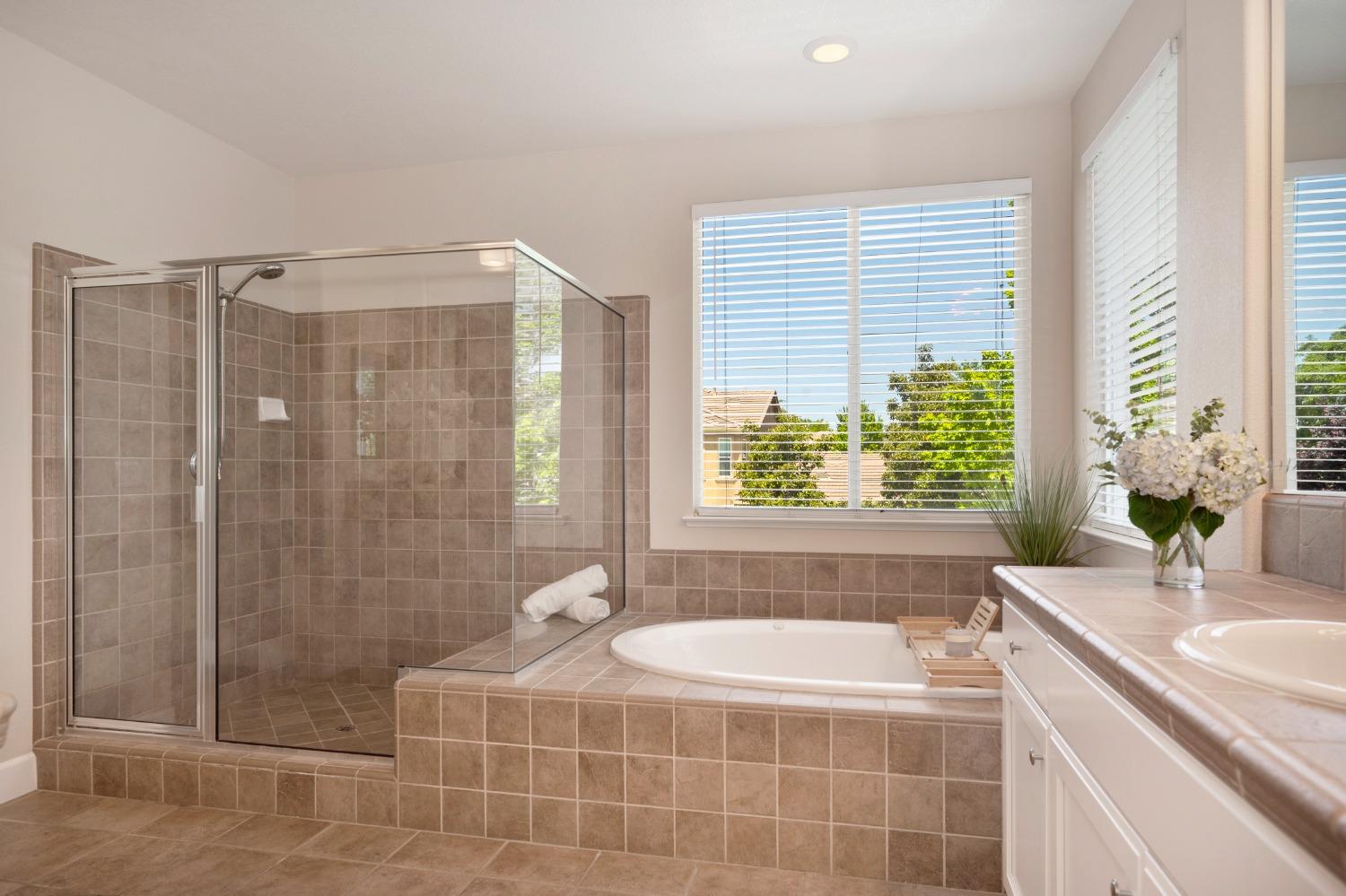 Detail Gallery Image 41 of 55 For 1606 Chalcedony Way, Folsom,  CA 95630 - 5 Beds | 3/1 Baths