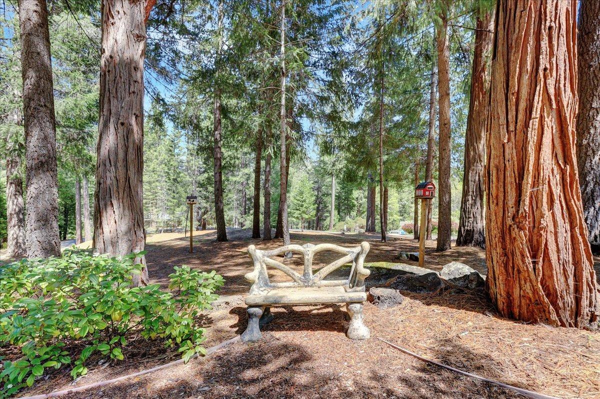 Detail Gallery Image 66 of 86 For 10656 Jasper Agate Ct, Nevada City,  CA 95959 - 4 Beds | 2/1 Baths