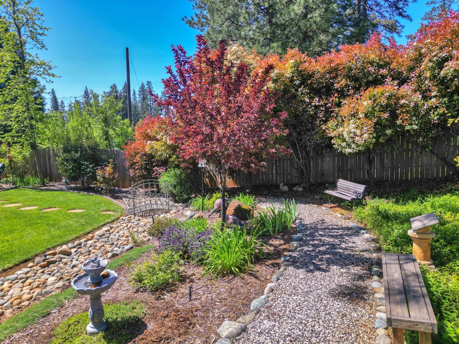 Detail Gallery Image 2 of 88 For 127 Peabody Ct, Grass Valley,  CA 95945 - 2 Beds | 2 Baths