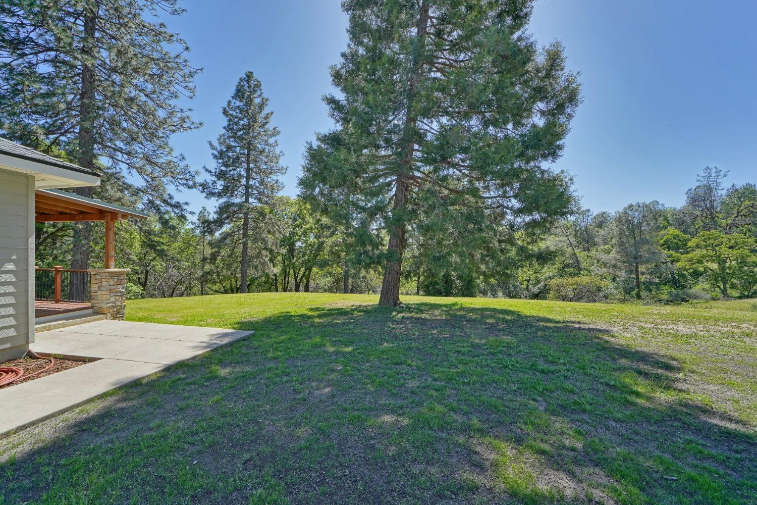 Detail Gallery Image 56 of 63 For 4342 Savage Rd, Placerville,  CA 95667 - 2 Beds | 2 Baths