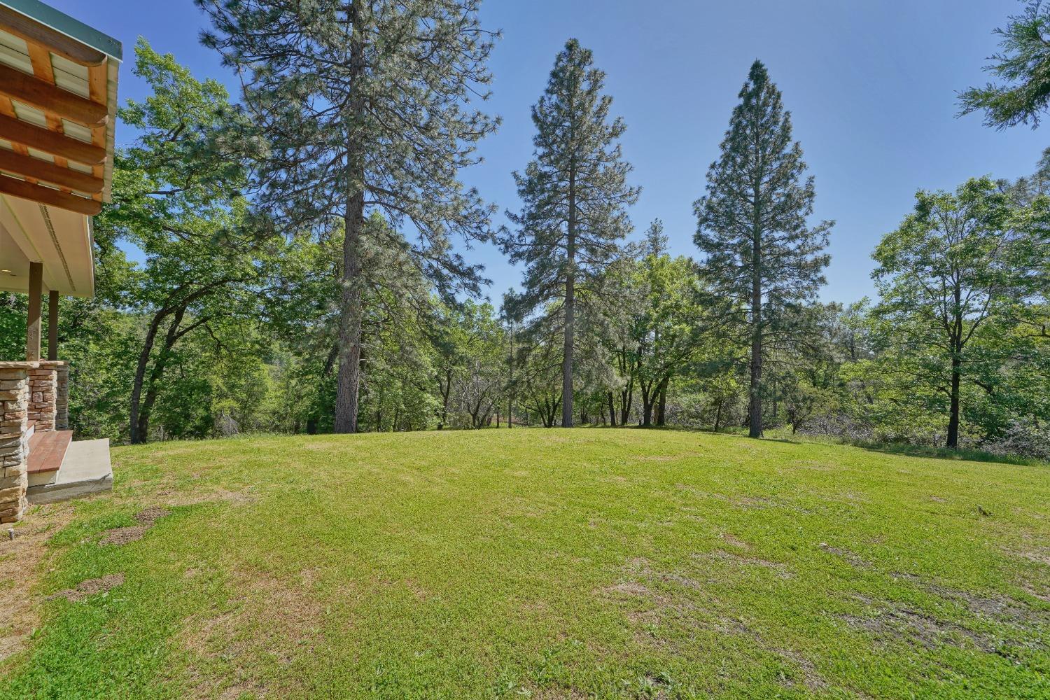 Detail Gallery Image 57 of 63 For 4342 Savage Rd, Placerville,  CA 95667 - 2 Beds | 2 Baths