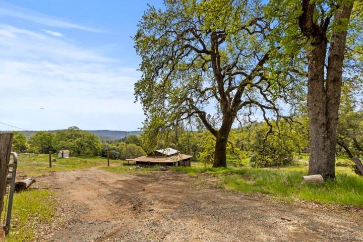 Detail Gallery Image 23 of 45 For 689 Fire Camp Rd, Oroville,  CA 95966 - 3 Beds | 2 Baths