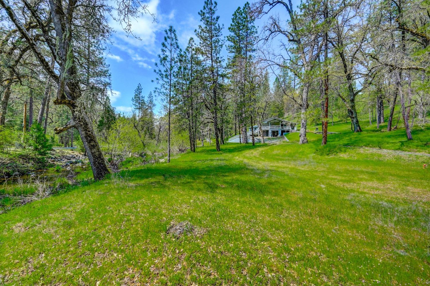 Quartz Mine Road, Mountain Ranch, California image 18