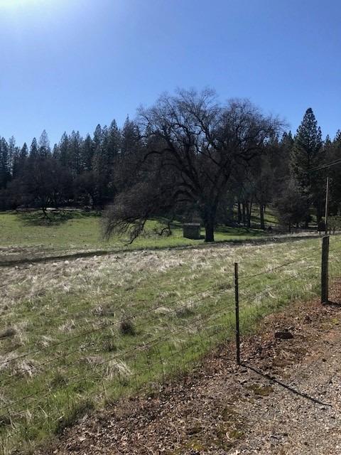 Pine Grove Volcano Road, Pine Grove, California image 7