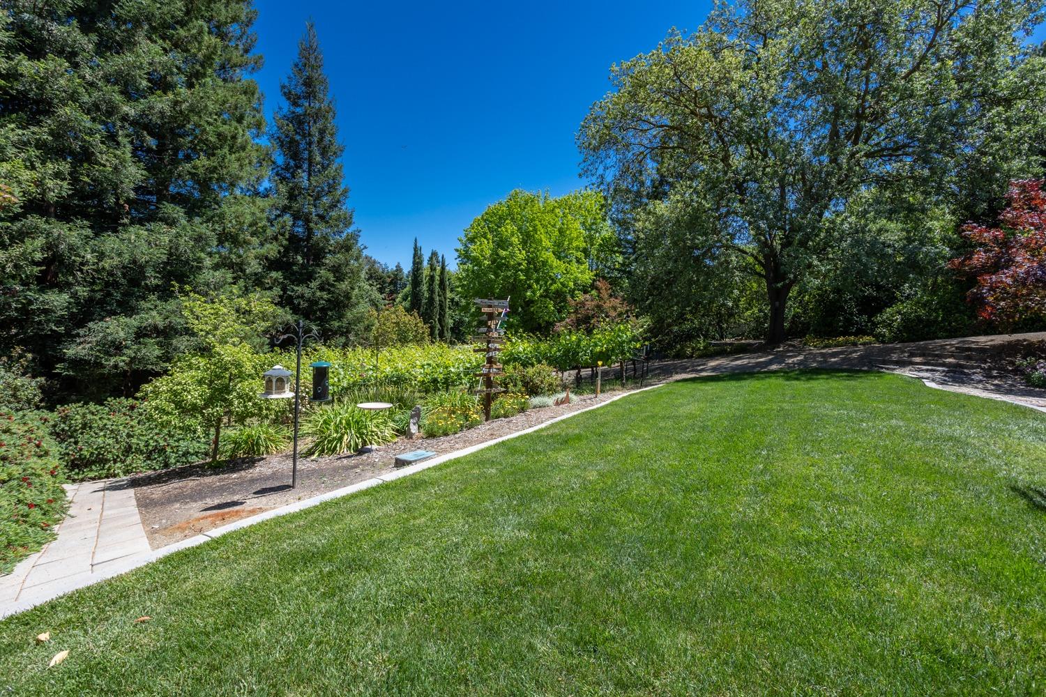 Detail Gallery Image 29 of 53 For 9961 Poppy Hills Dr, Oakdale,  CA 95361 - 3 Beds | 2/1 Baths